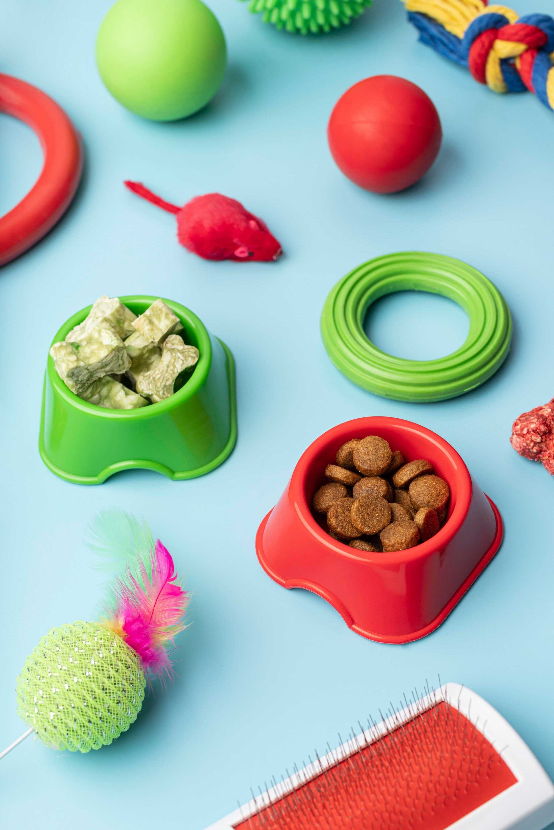 Produtos Pet na Vida de Cão