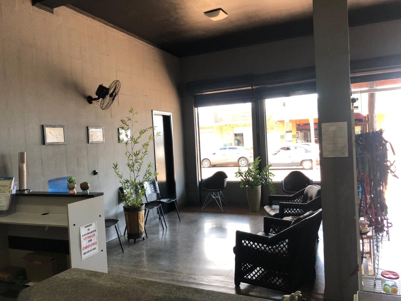 Galeria