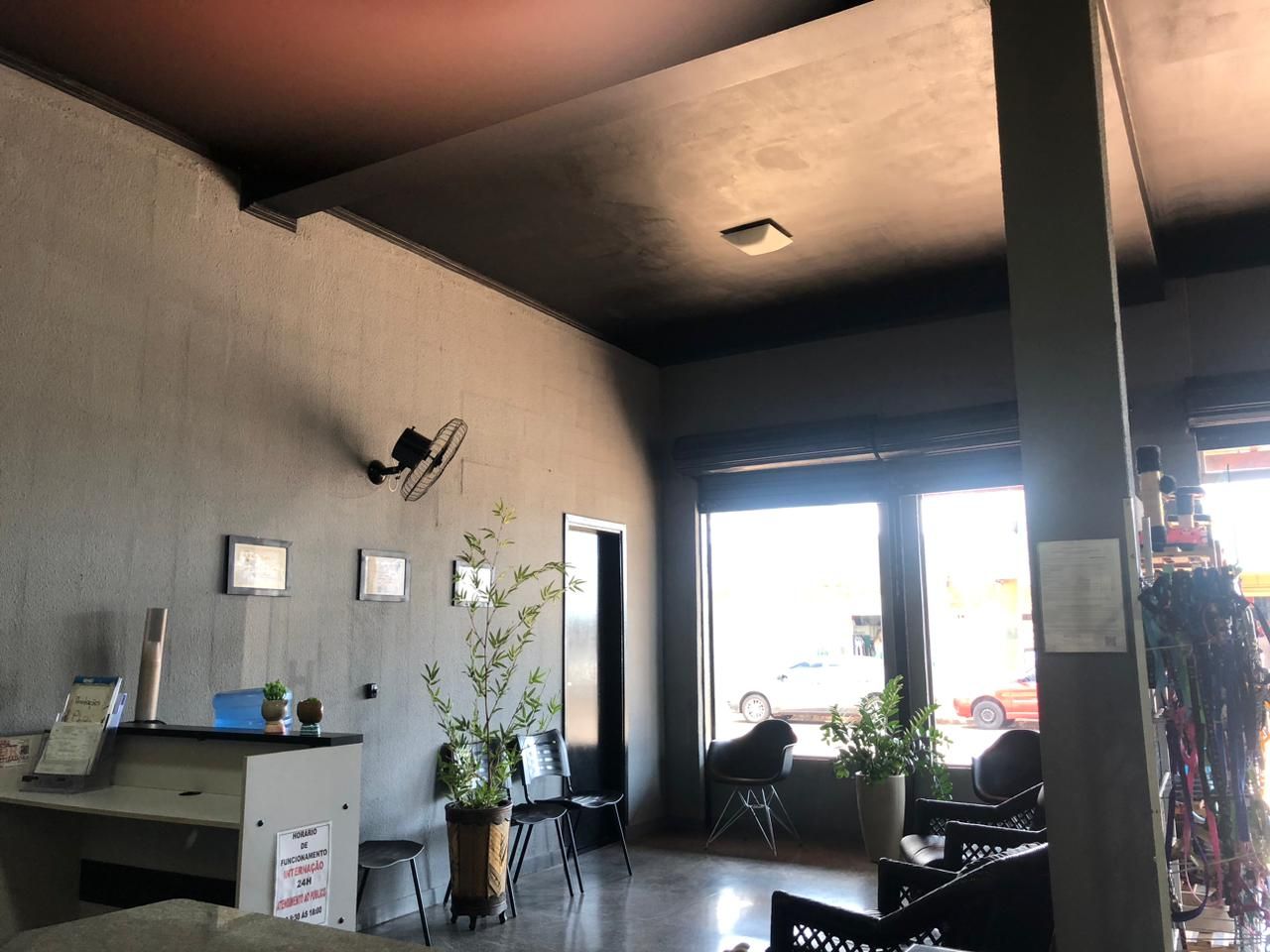 Loja e pet shop da Vida de Cão