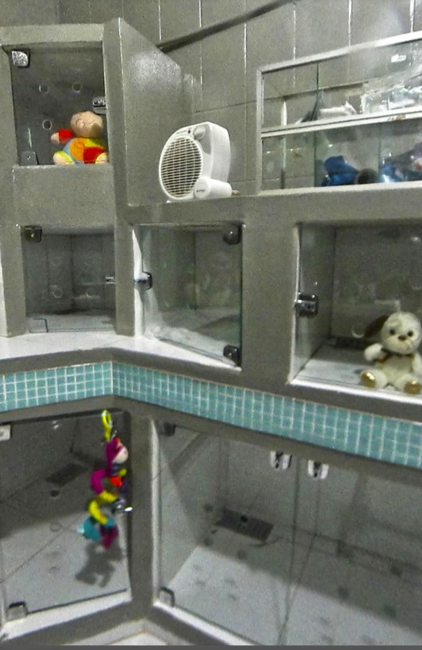 Baias de internação e hotelzinho da Vida de Cão